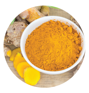 Alimentos Saludables