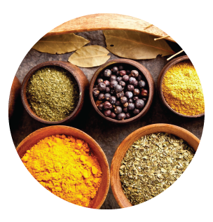 Sazonadores y Condimentos